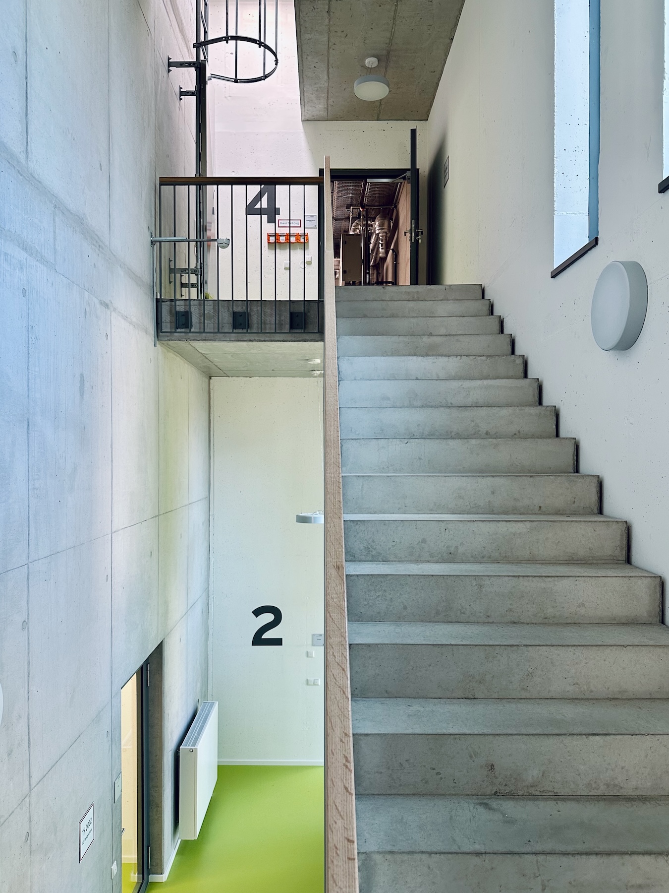 IMG_7595.jpeg